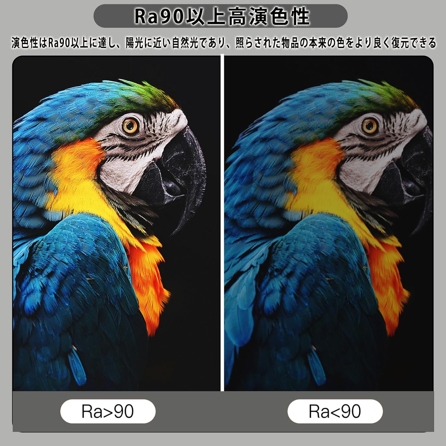 商品画像1