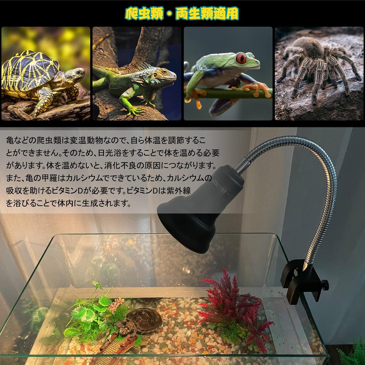 商品画像5