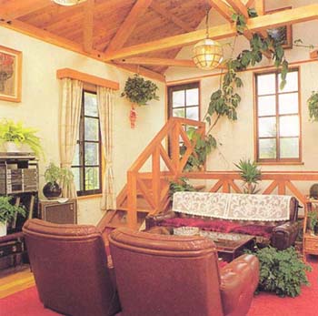 お部屋の中で観葉植物を飾ろう