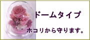 ドームタイプのプリザーブドフラワー