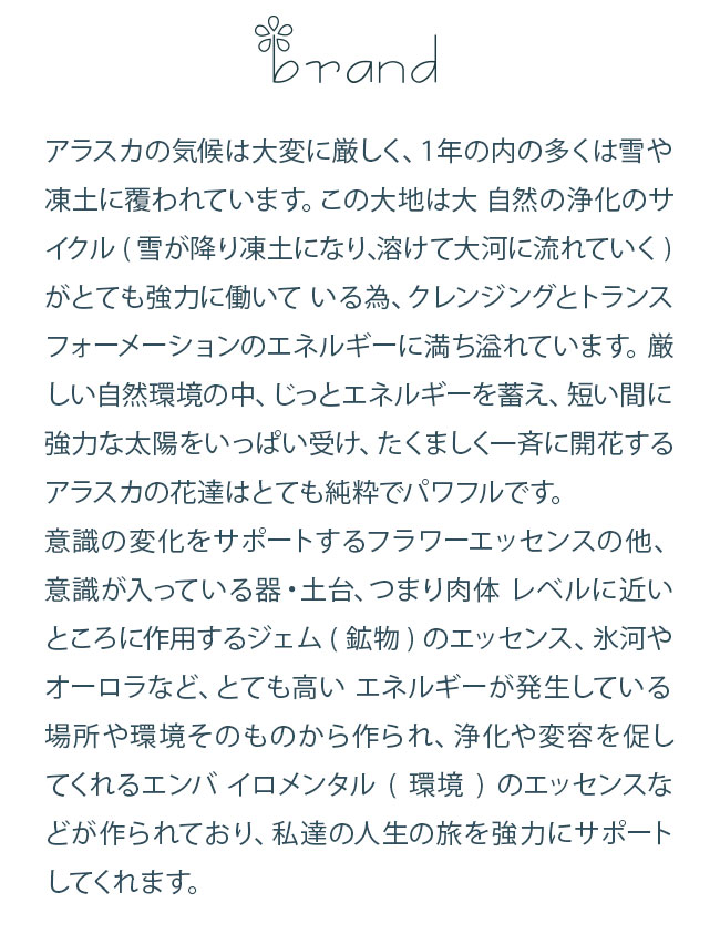 【専用】『在庫セール』ワンサイデッドウィンターグリーン　フラワーエッセンス 専用】『在庫セール』ワンサイデッドウィンターグリーン
