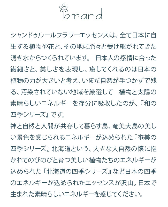 フラワーエッセンス シャンドゥルール 北海道の四季 白樺 |  | 03