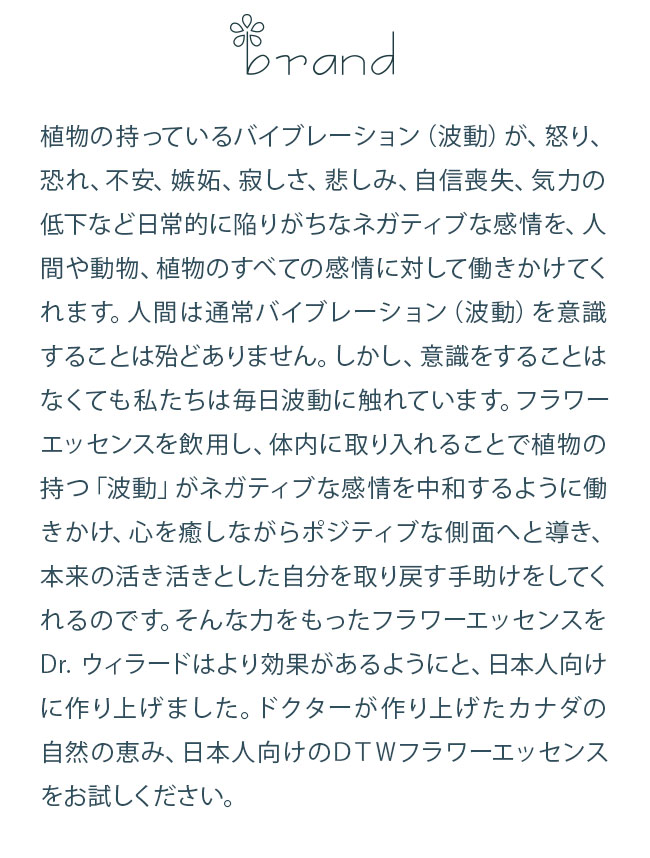 フラワーエッセンス DTWフラワーエッセンス フォーミュラ アクセプタンス |  | 03