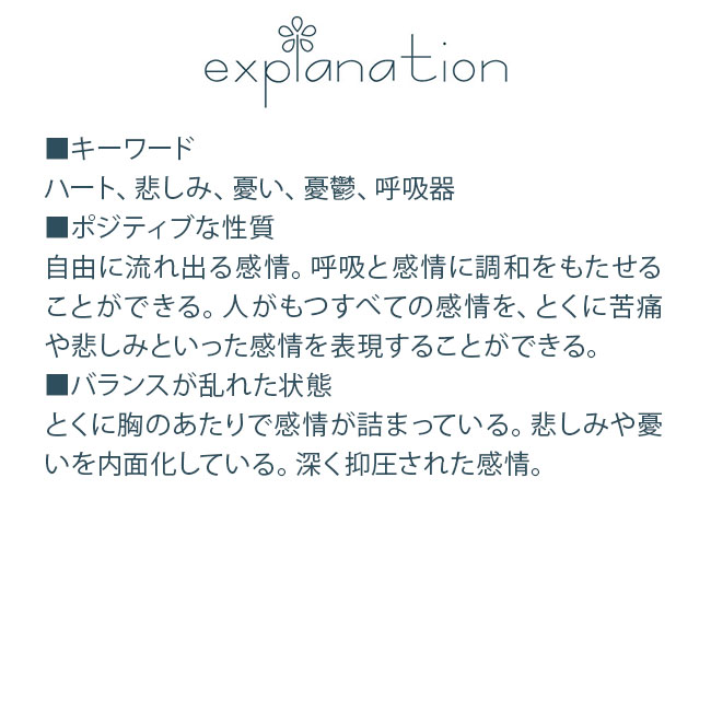 イエルバサンタ FESフラワーエッセンス クイントエッセンス |  | 01