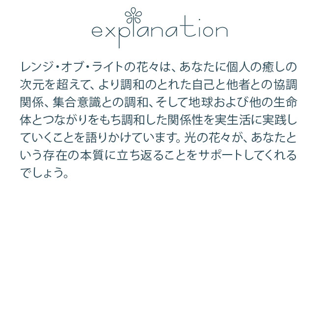レンジオブライトアファメーションカード FESフラワーエッセンス 日本語版 全48枚 |  | 01