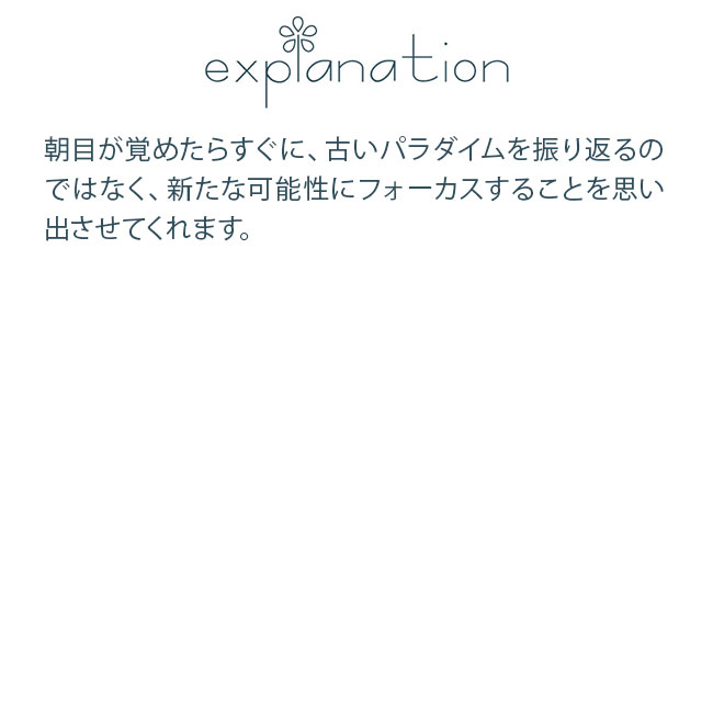 フラワーエッセンス インディゴエッセンス サバイバルキット ライズアンドシャイン Rise and Shine find11006フラワー