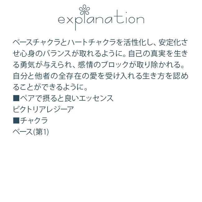 フラワーエッセンス コルテPHIエッセンス ジェムエッセンス ルビー |  | 01