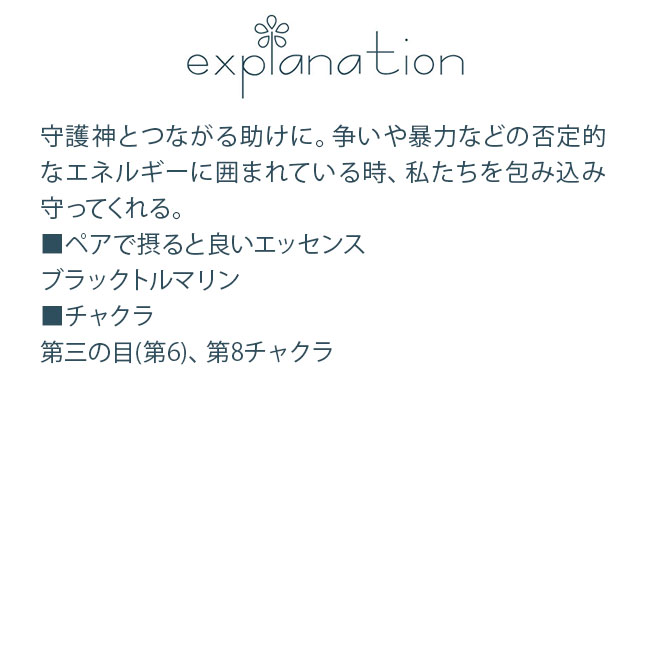 フラワーエッセンス コルテPHIエッセンス アマゾンオーキッドエッセンス エンジェルオブプロテクションオーキッド |  | 01