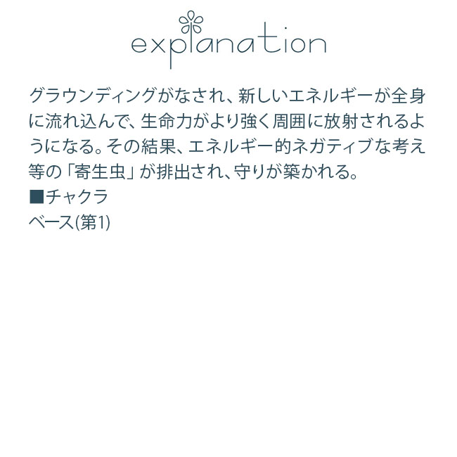 フラワーエッセンス コルテPHIエッセンス カクタス サボテン エッセンス ライフフォースカクタス |  | 01