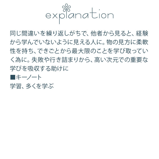 フラワーエッセンス コルテPHIエッセンス クラシックエッセンス チェストナットバッド |  | 01