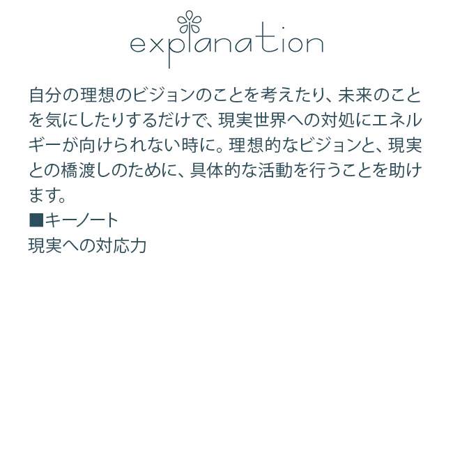 フラワーエッセンス コルテPHIエッセンス クラシックエッセンス クレマチス |  | 01