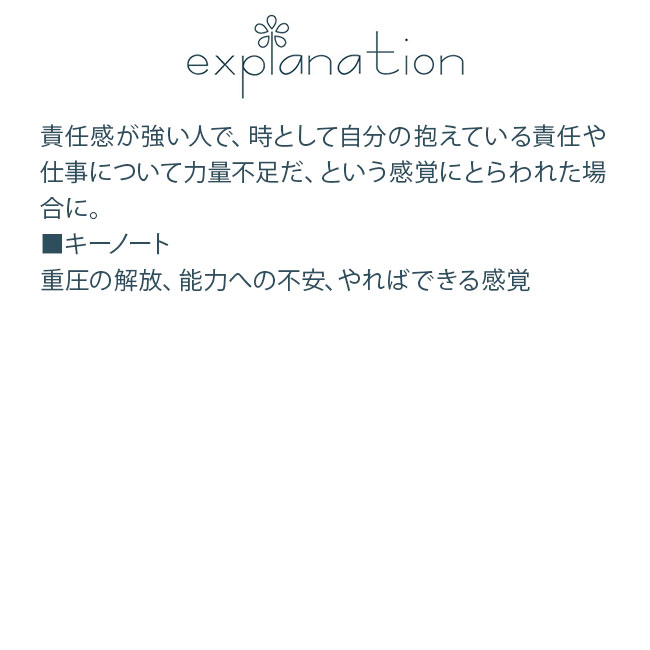 フラワーエッセンス コルテPHIエッセンス クラシックエッセンス エルム |  | 01