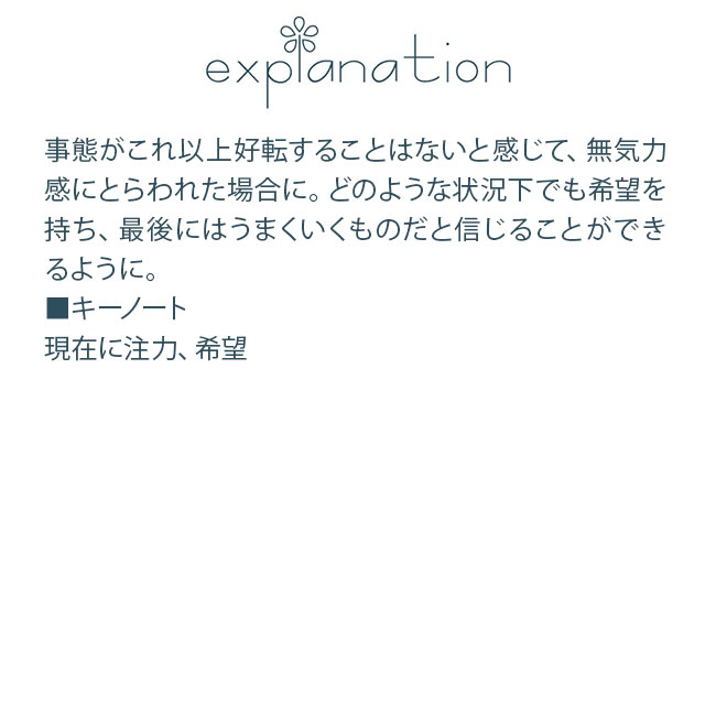 フラワーエッセンス コルテPHIエッセンス クラシックエッセンス ゴース |  | 01
