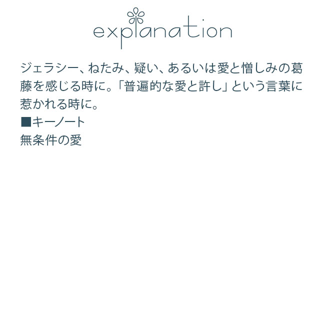 フラワーエッセンス コルテPHIエッセンス クラシックエッセンス ホリー |  | 01