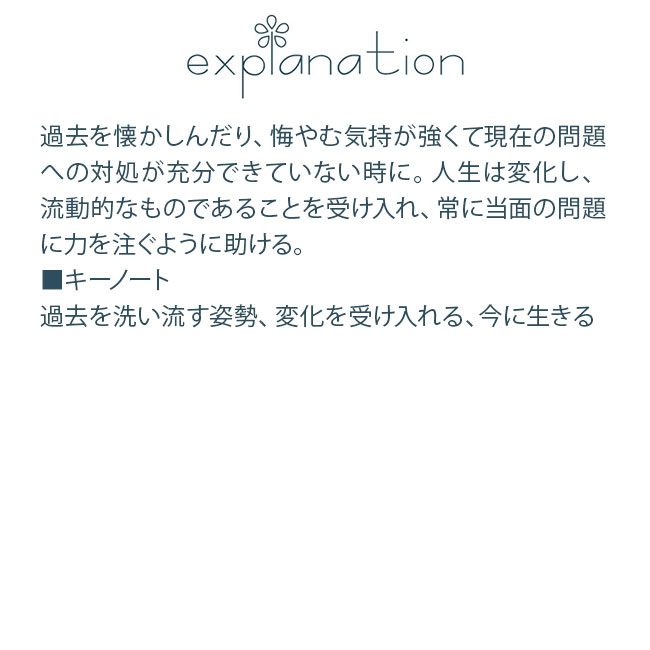 フラワーエッセンス コルテPHIエッセンス クラシックエッセンス ハニーサックル |  | 01