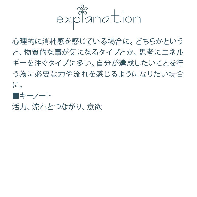 フラワーエッセンス コルテPHIエッセンス クラシックエッセンス ホーンビーム |  | 01
