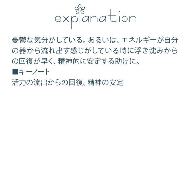 フラワーエッセンス コルテPHIエッセンス クラシックエッセンス マスタード |  | 01