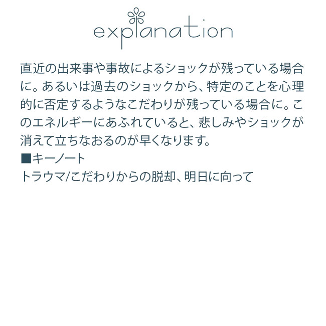 フラワーエッセンス コルテPHIエッセンス クラシックエッセンス スターオブベツレヘム |  | 01