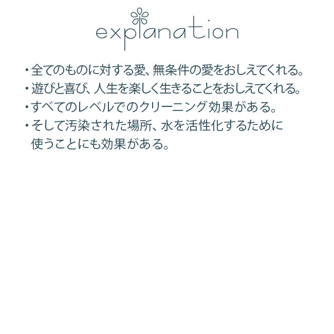 フラワーエッセンス コルテPHIエッセンス シーエッセンス イルカ |  | 01