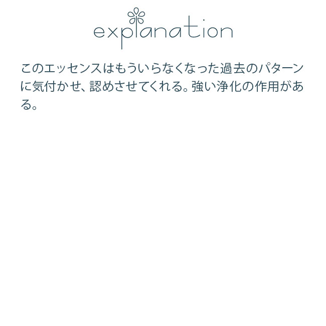 フラワーエッセンス コルテPHIエッセンス クロップサークルエッセンス #50 10-pointed Star, Chilcomb Down, UK 2001 |  | 01