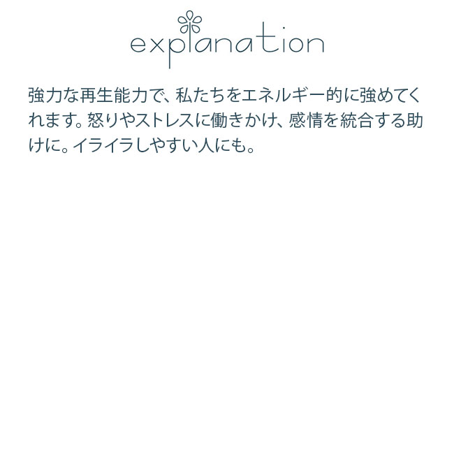 フラワーエッセンス コルテPHIエッセンス その他のエッセンス カランコエ |  | 01