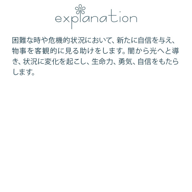 フラワーエッセンス コルテPHIエッセンス その他のエッセンス ソーラーエクリプス 日食 Solar Eclipse |  | 01