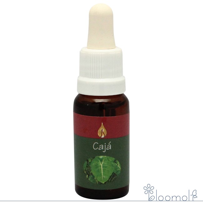 フラワーエッセンス アラレタマ レインフォレストエッセンス カシャ