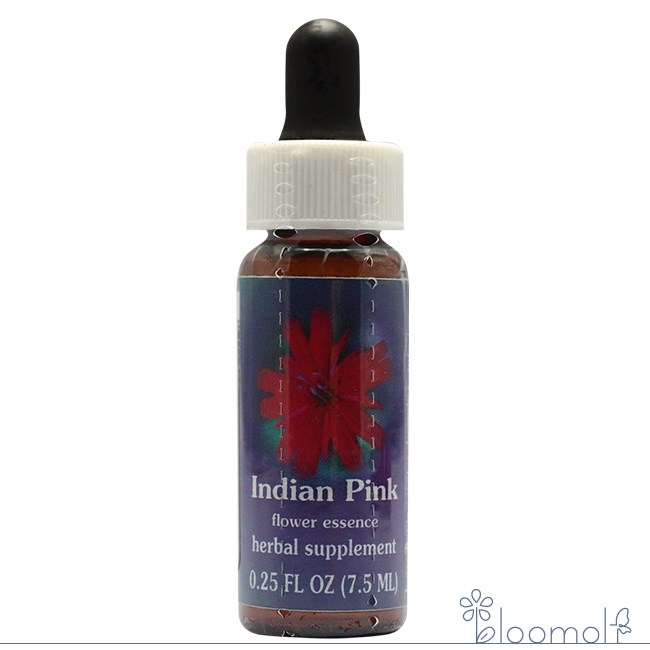 フラワーエッセンス FESフラワーエッセンス クイントエッセンス インディアンピンク | 