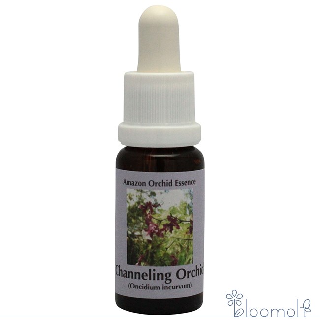 フラワーエッセンス コルテPHIエッセンス アマゾンオーキッドエッセンス チャネリングオーキッド | 