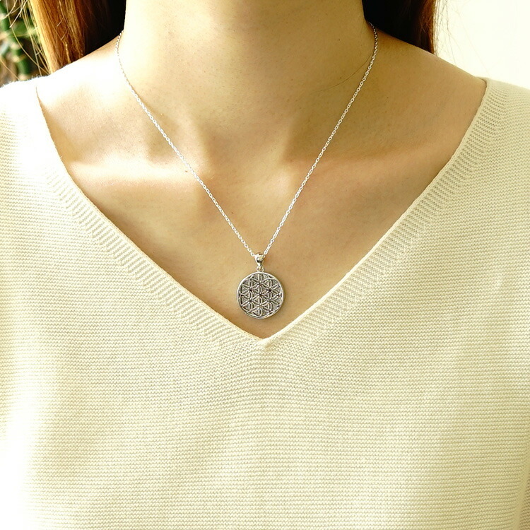 天然石 ペンダント SV925 フラワーオブライフ ギベオン隕石 隕石 惑星