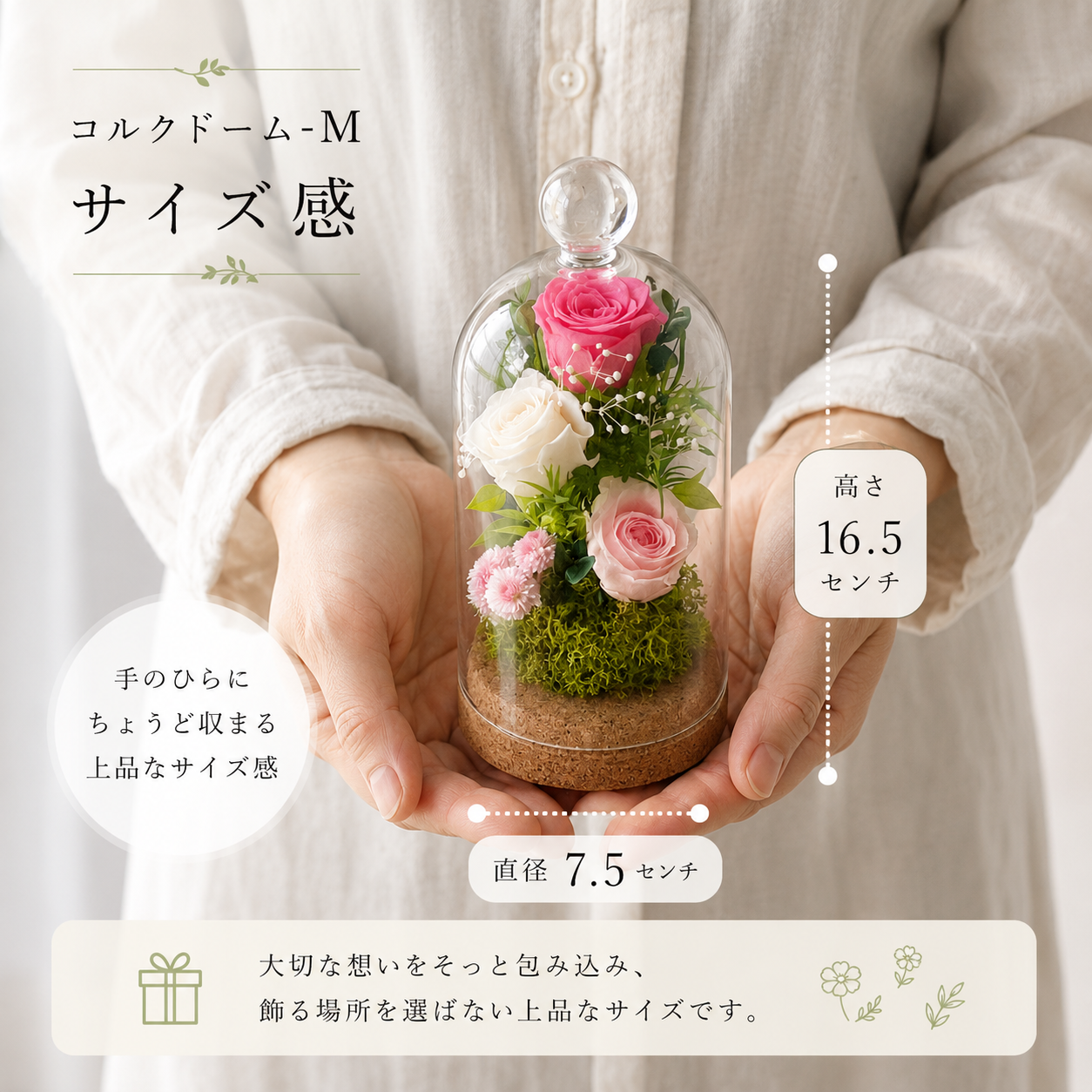 サイズ