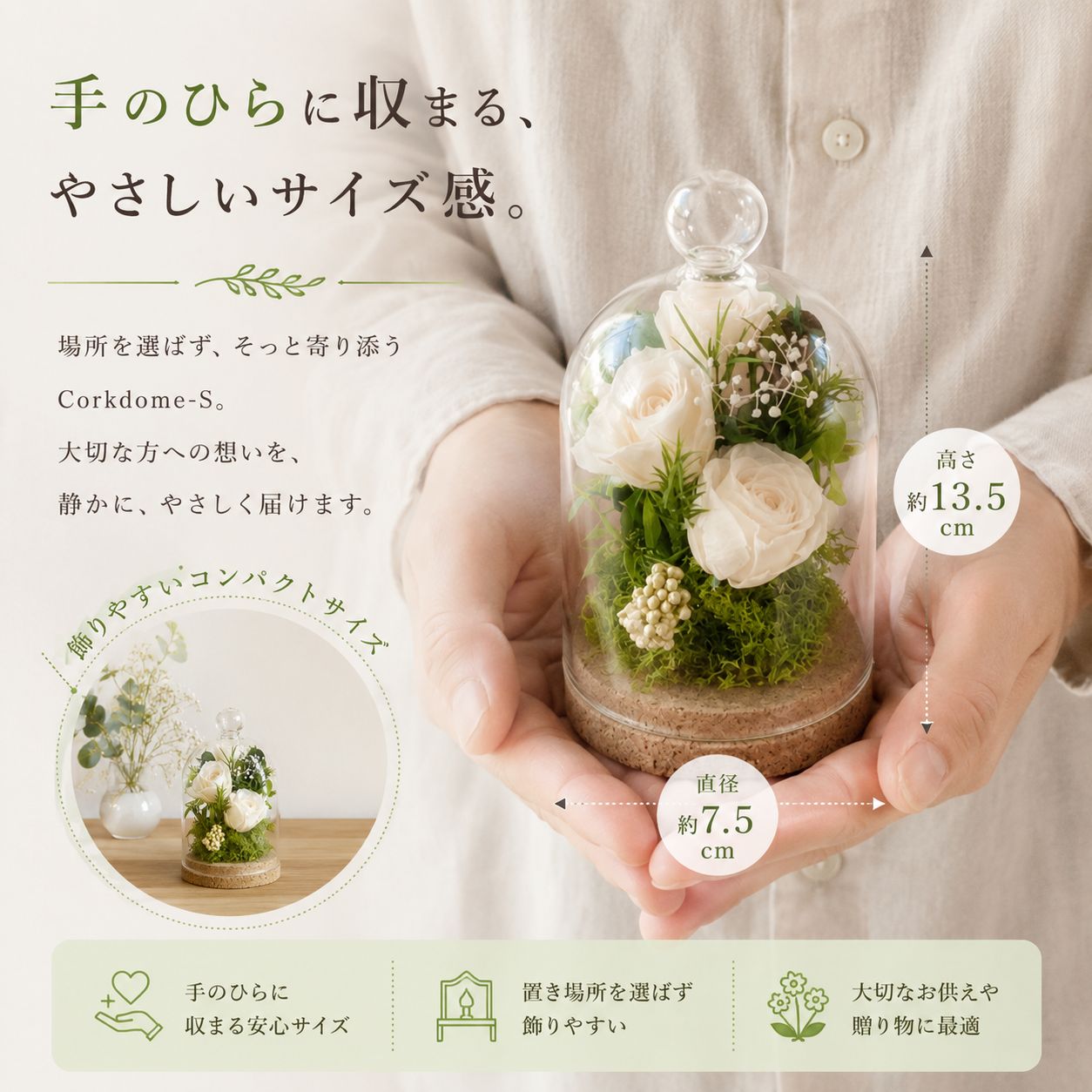 サイズ