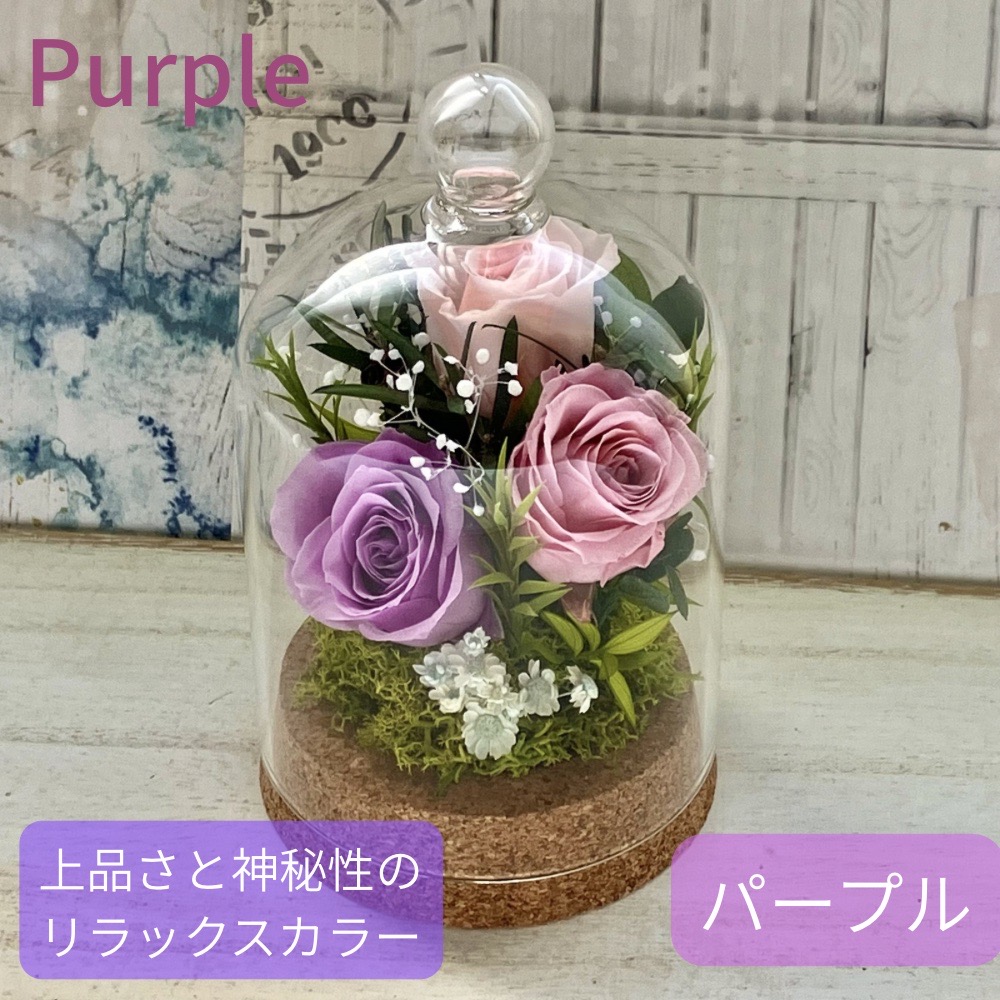 プリザーブドフラワーガラスドーム ハート紫 ガラスドーム-フィオーレ-(パープル) /プリザーブドフラワー