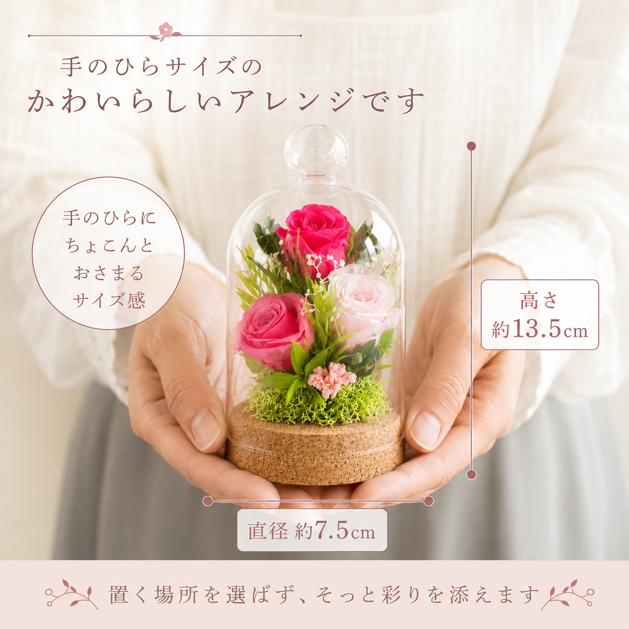 サイズ