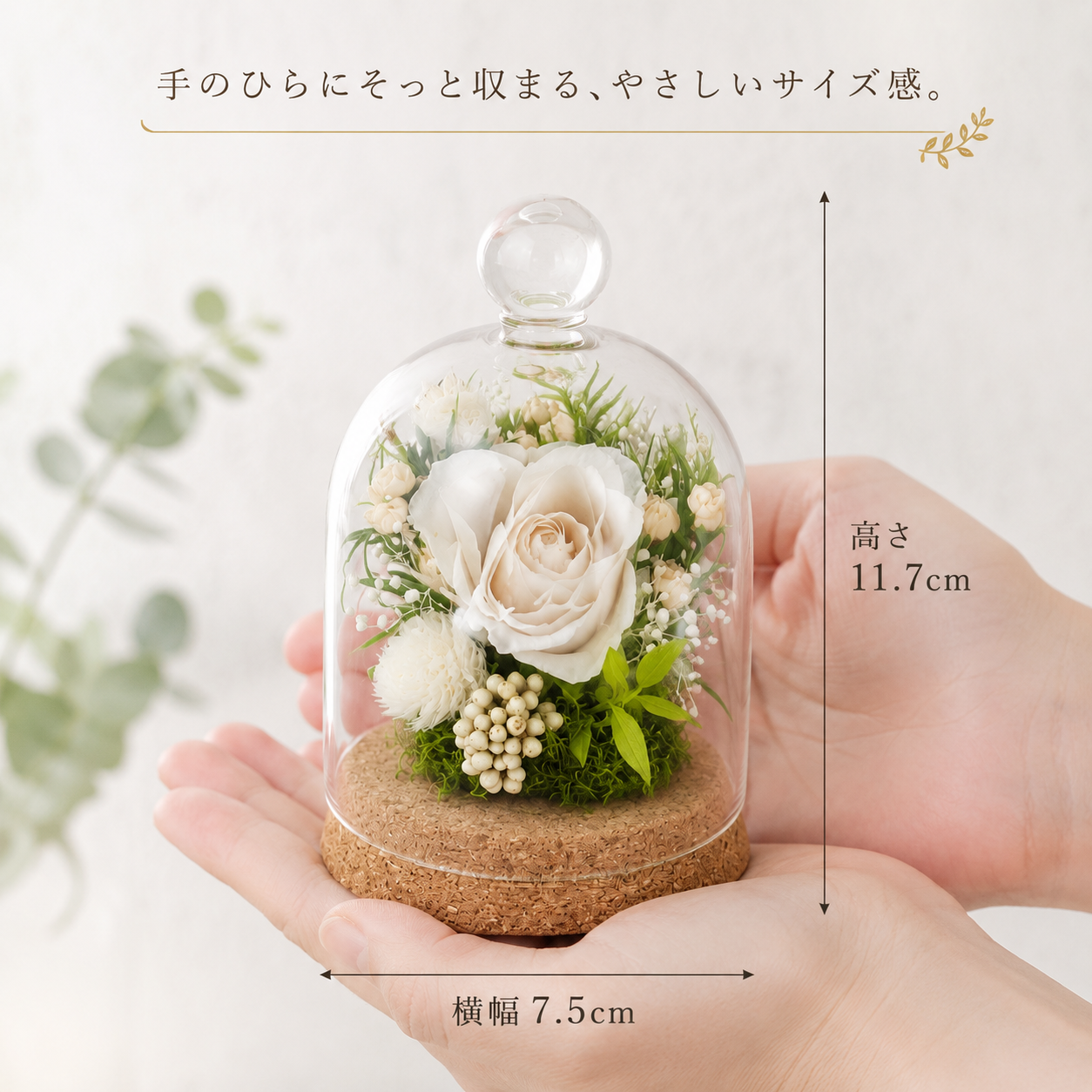 サイズ