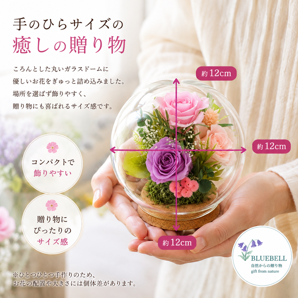サイズ