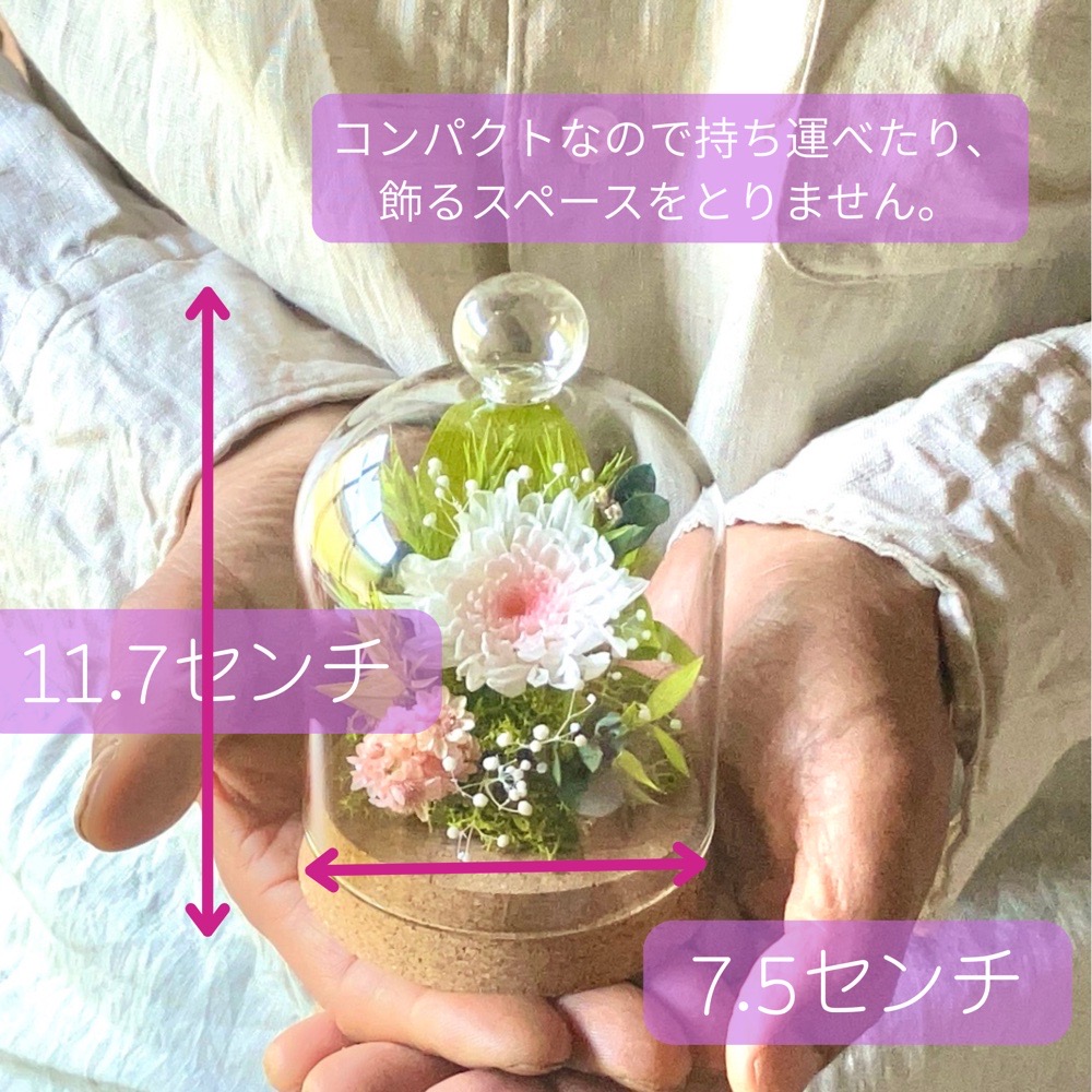 サイズ