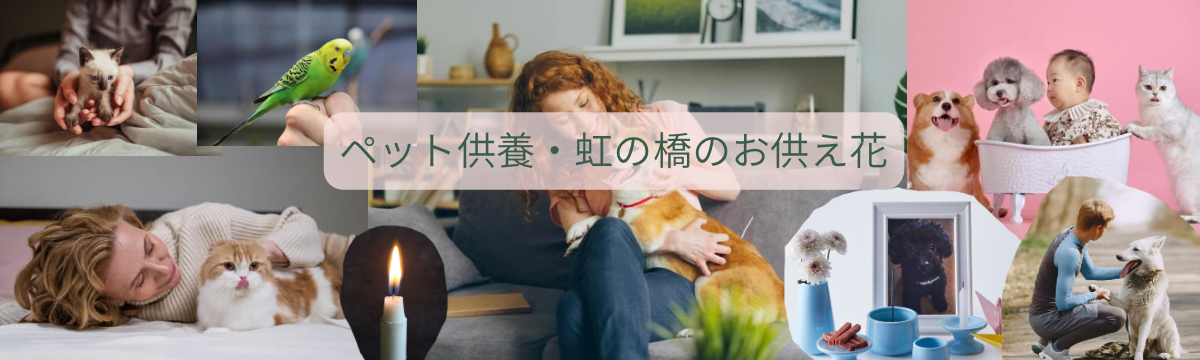 ペットのお供え花