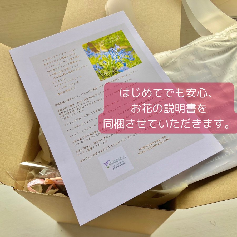 説明書同梱