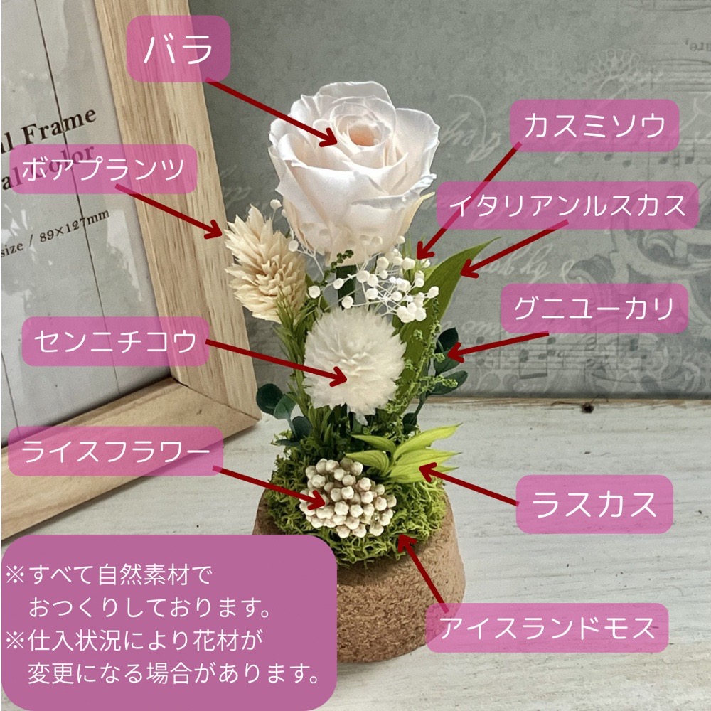 ペット供養 花 プリザーブドフラワー ガラスドーム お供え 犬 猫
