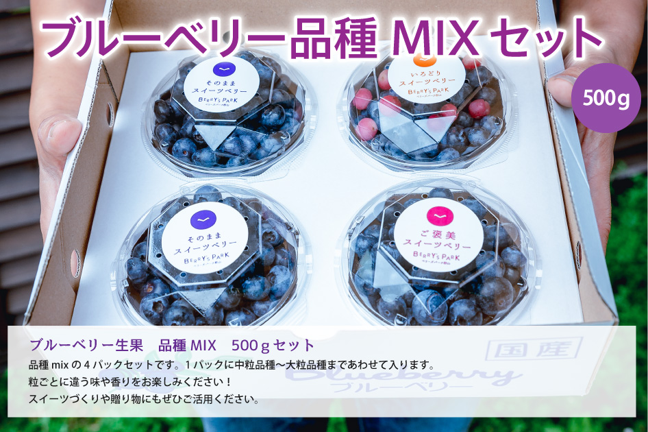ブルーベリーコンシェルジュ