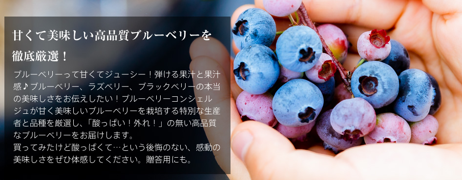 ブルーベリーコンシェルジュ