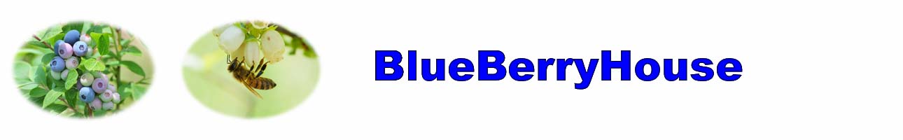 BlueBerryHouse ヘッダー画像