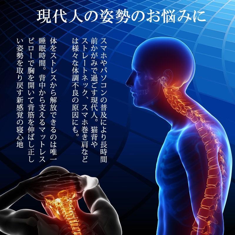 お気にいる 枕 まくら マットレスピロー いびき 巻き肩 背中枕 母の日 父の日 ギフト Blueblood チャンドラ Chandra ブルーブラッド メーカー公式 超特価激安 Aleefsurgical Com