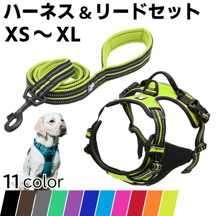 trueloveリード　ハーネス　3点セット Truelove 犬 リード ハーネス セット ソフトハーネス 超小型犬