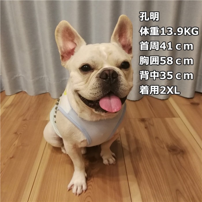 Disney ｆｂ ｍ ﾚｯﾄﾞ フレンチブル推奨m マニッシュボーイ