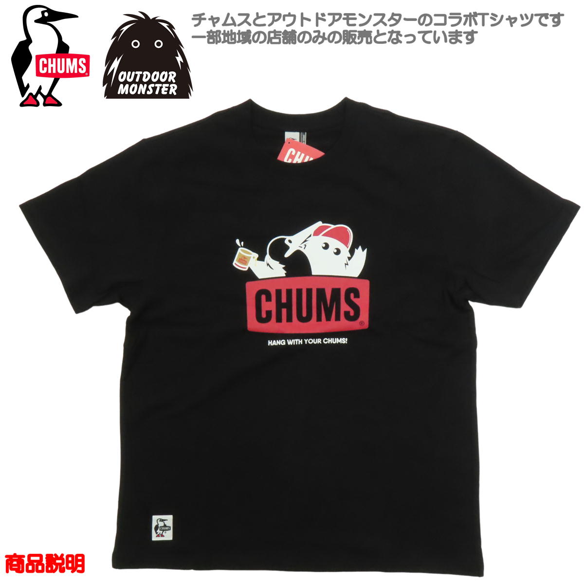 a9-cms-ch012050_2.jpg
