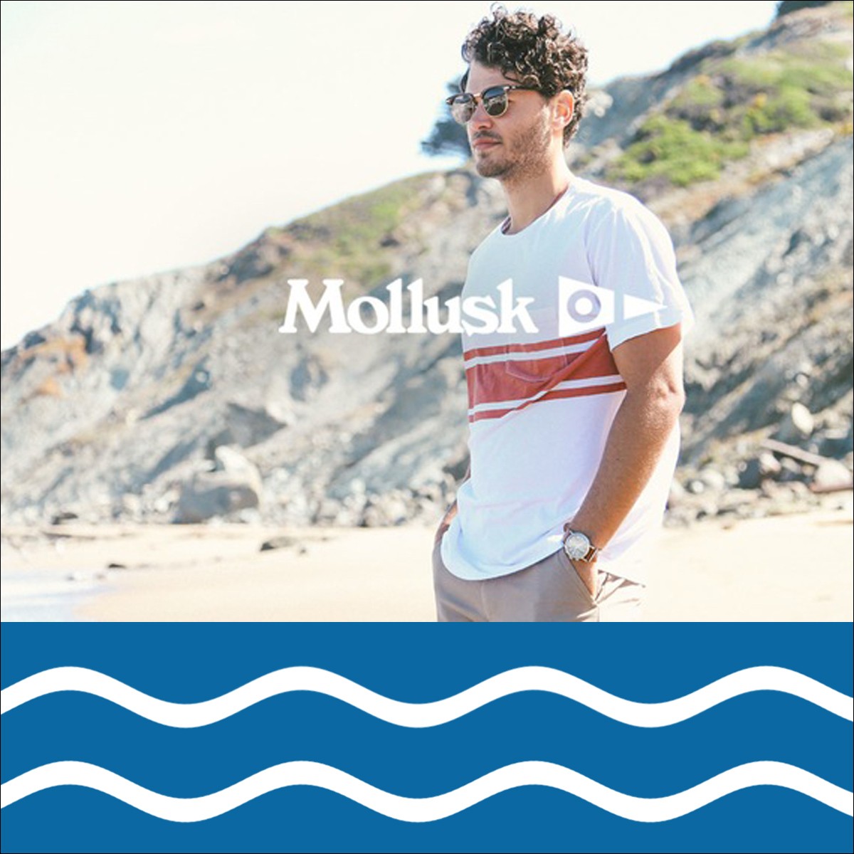 Mollusk モラスク