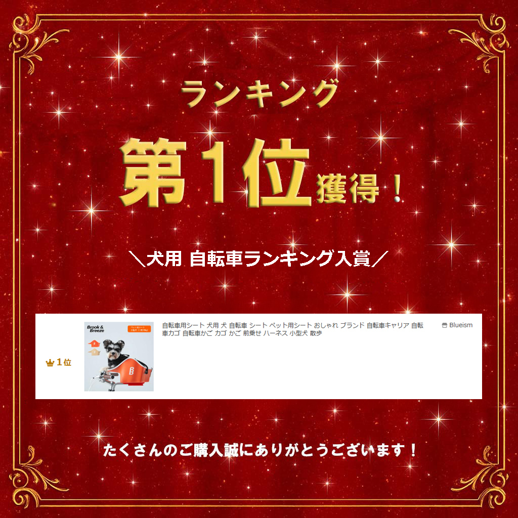 ランキング画像