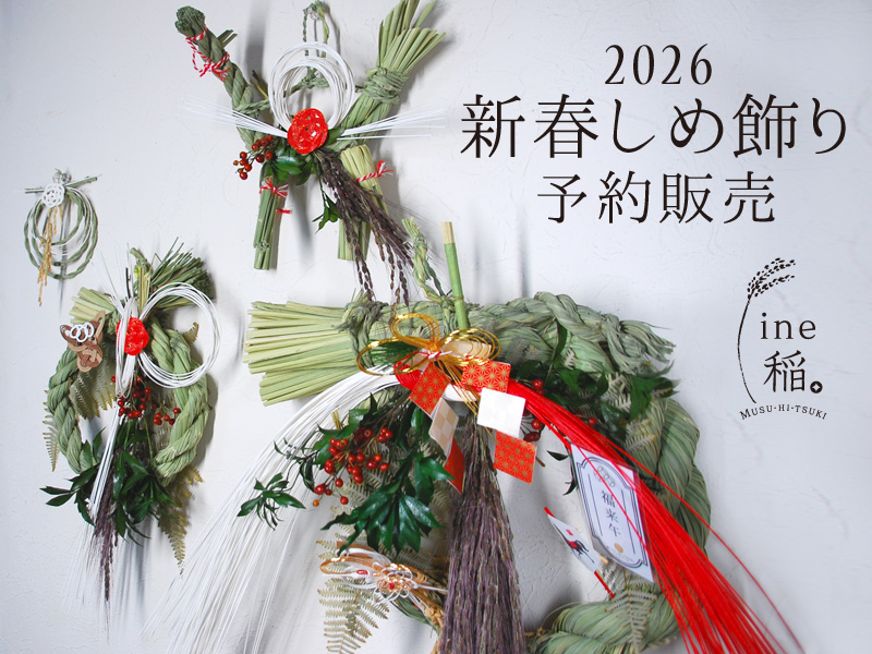 しめ飾り リース 正月飾り L 大 2026年 午年 水引 梅 玄関 おしゃれ